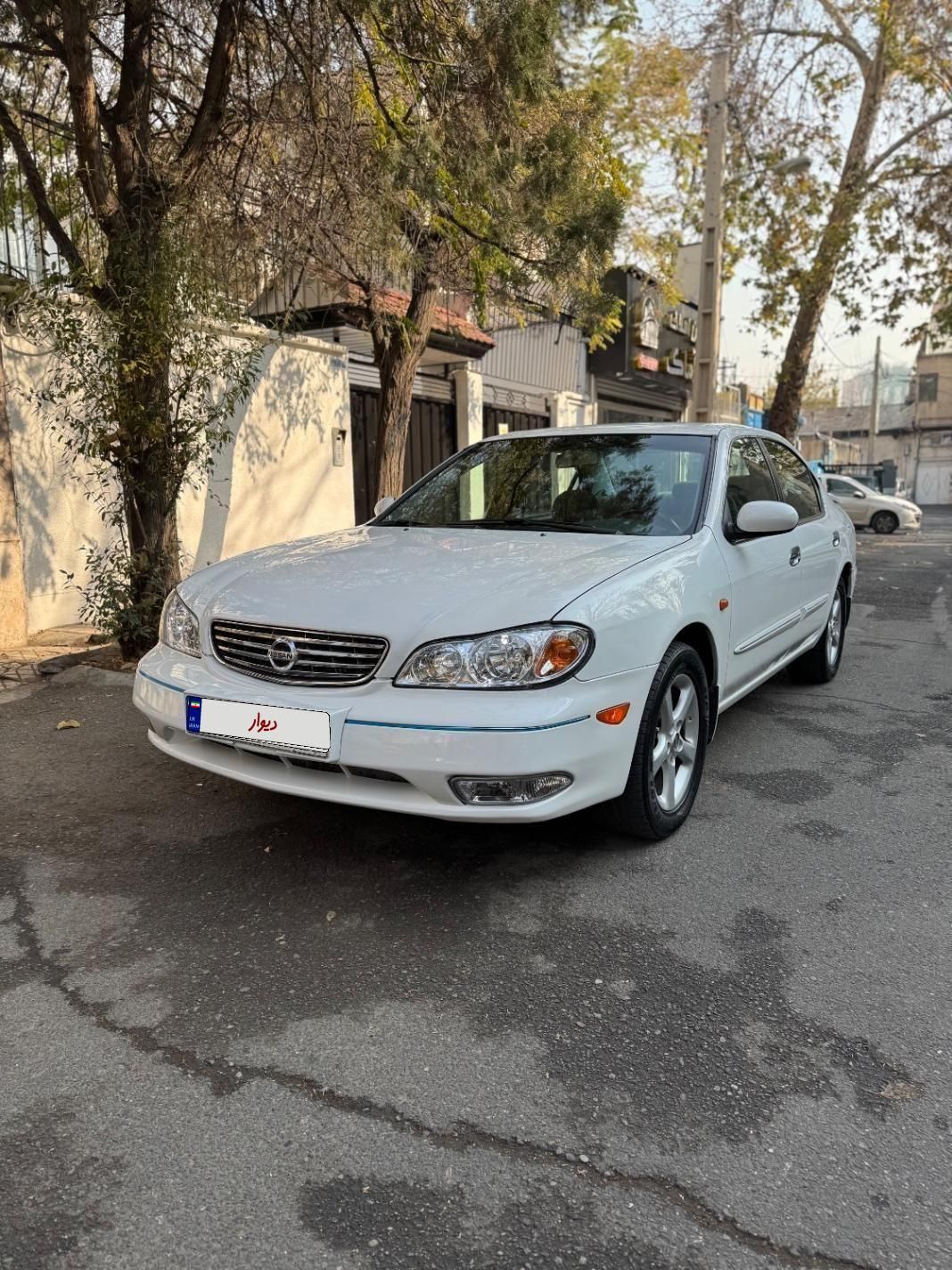 خودرو نیسان، ماکسیما آگهی ann_18254113