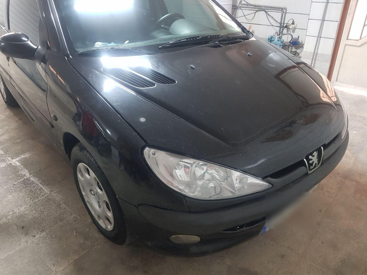 پژو 206 SD v8 - 1391