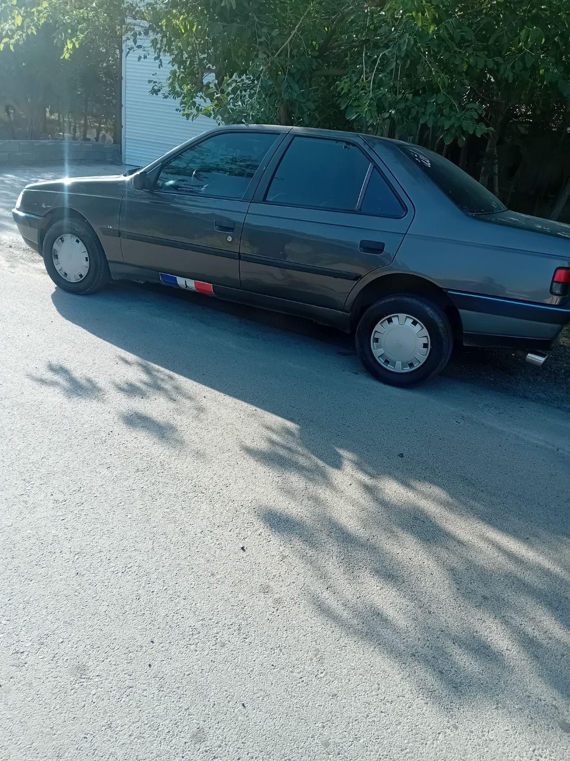 خودرو پژو، 405 آگهی ann_18275334