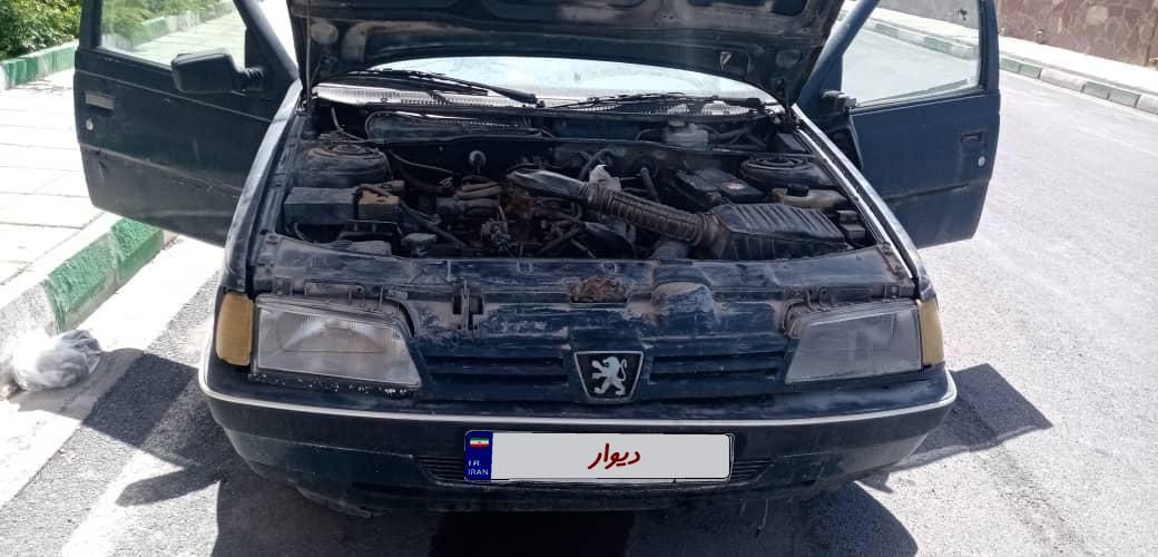 پژو 405 GLI - دوگانه سوز CNG - 1383