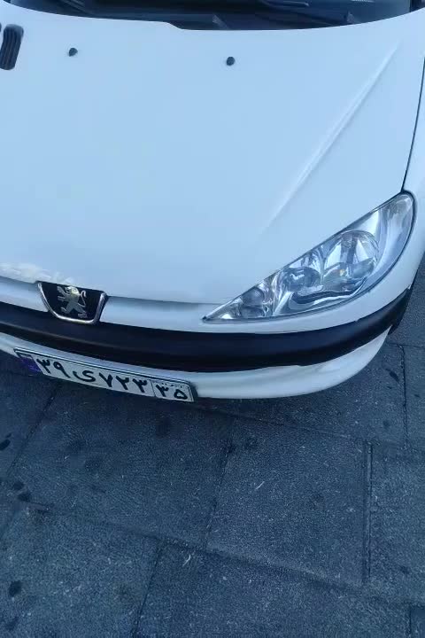 پژو 206 SD v8 - 1390