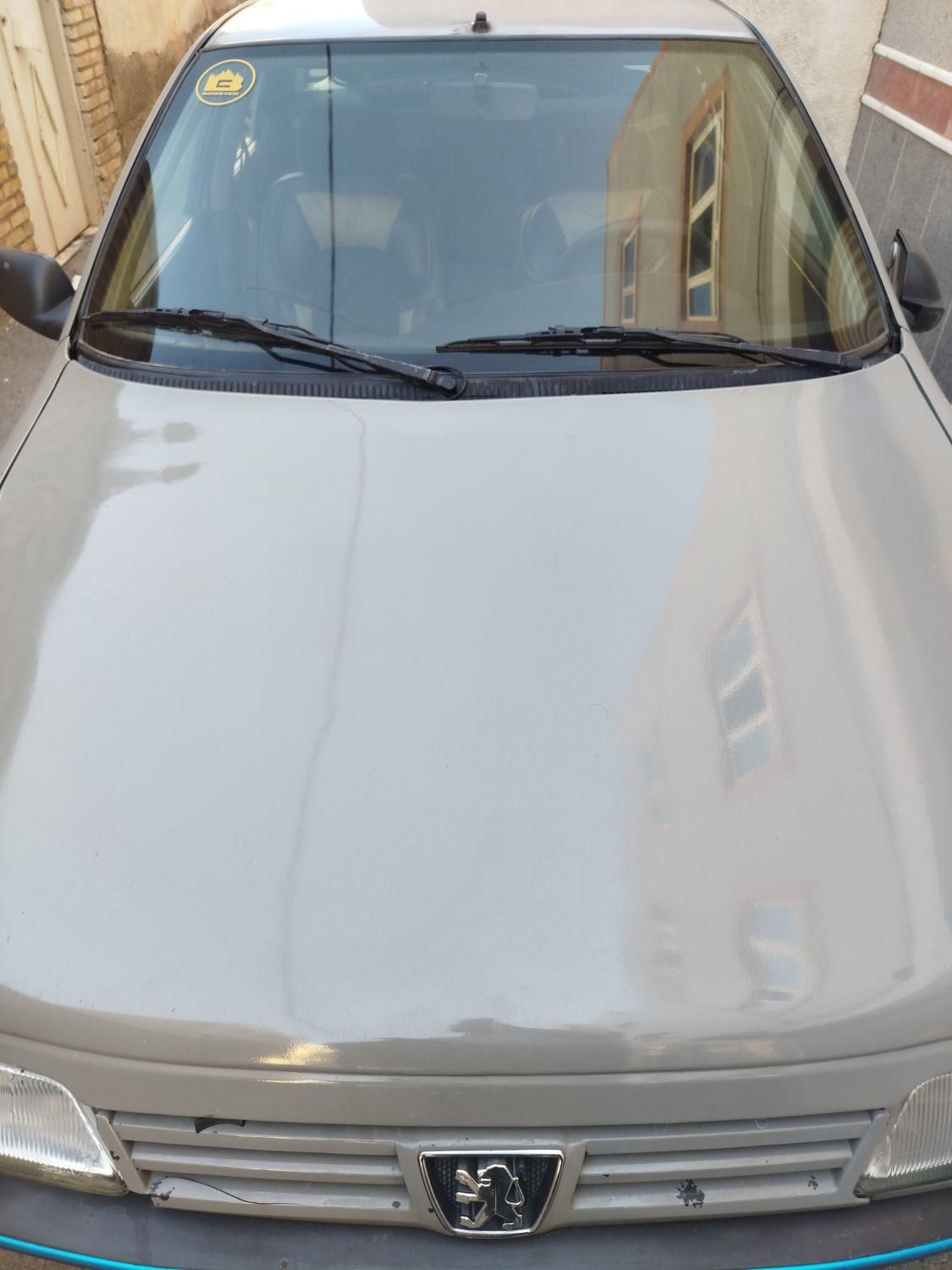 پژو آردی دوگانه سوز CNG - 1380