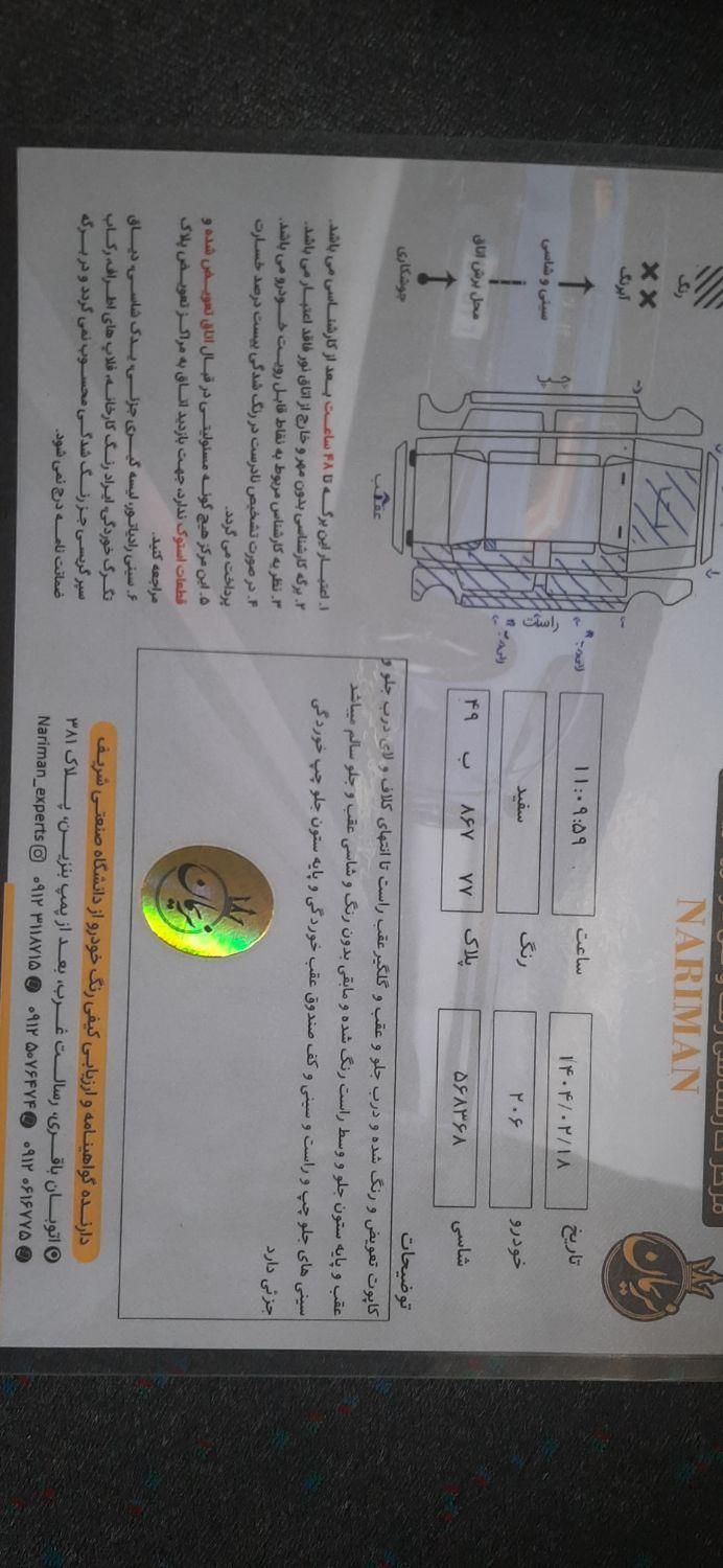 پژو 206 تیپ 2 - 1391