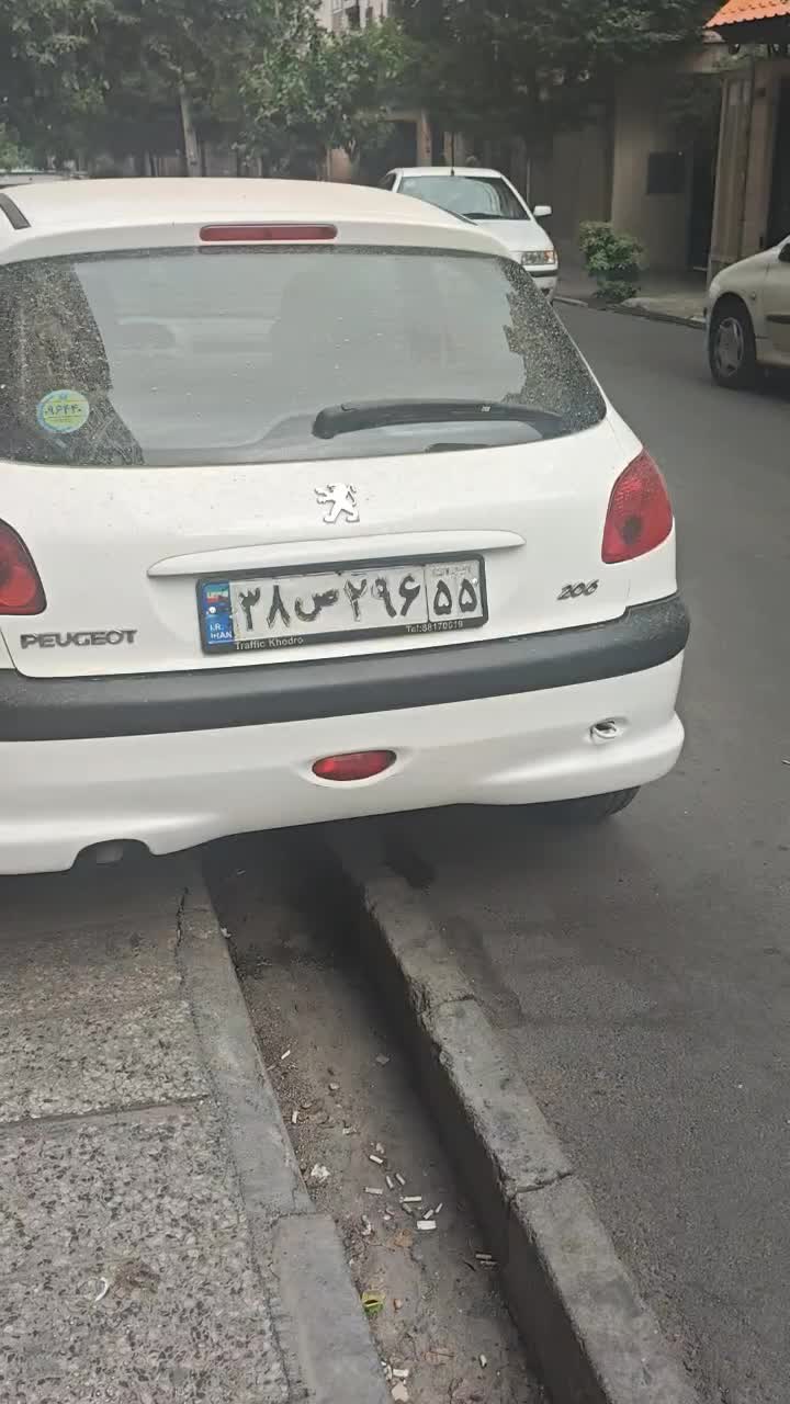 پژو 206 تیپ 2 - 1399