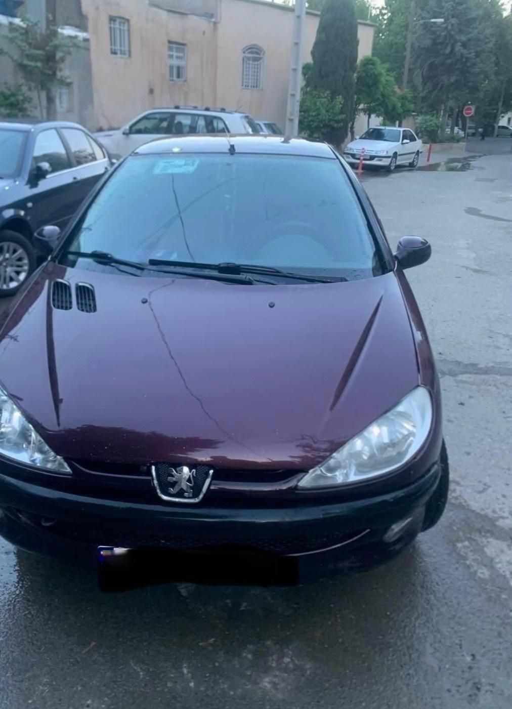 پژو 206 SD v8 - 1390