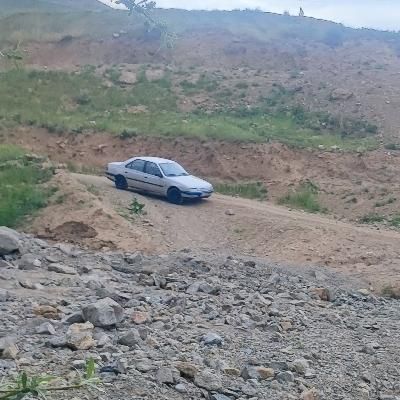 خودرو پژو، 405 آگهی ann_18281084