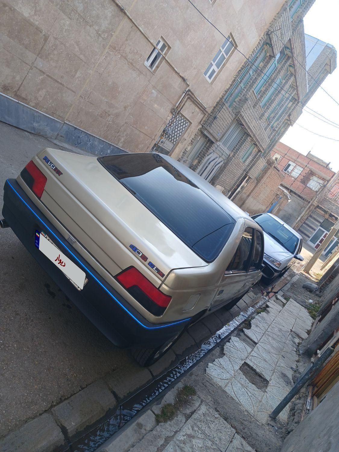 پژو 405 GL - دوگانه سوز CNG - 1373