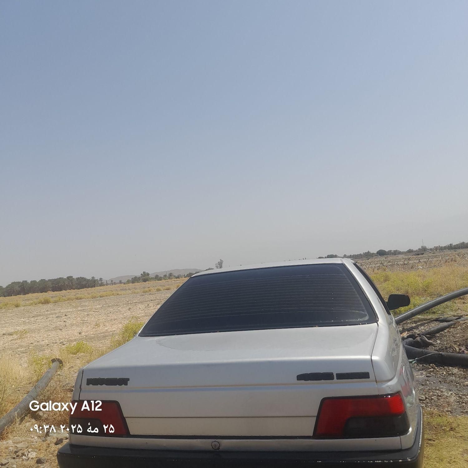 پژو 405 GLX - دوگانه سوز - 1394