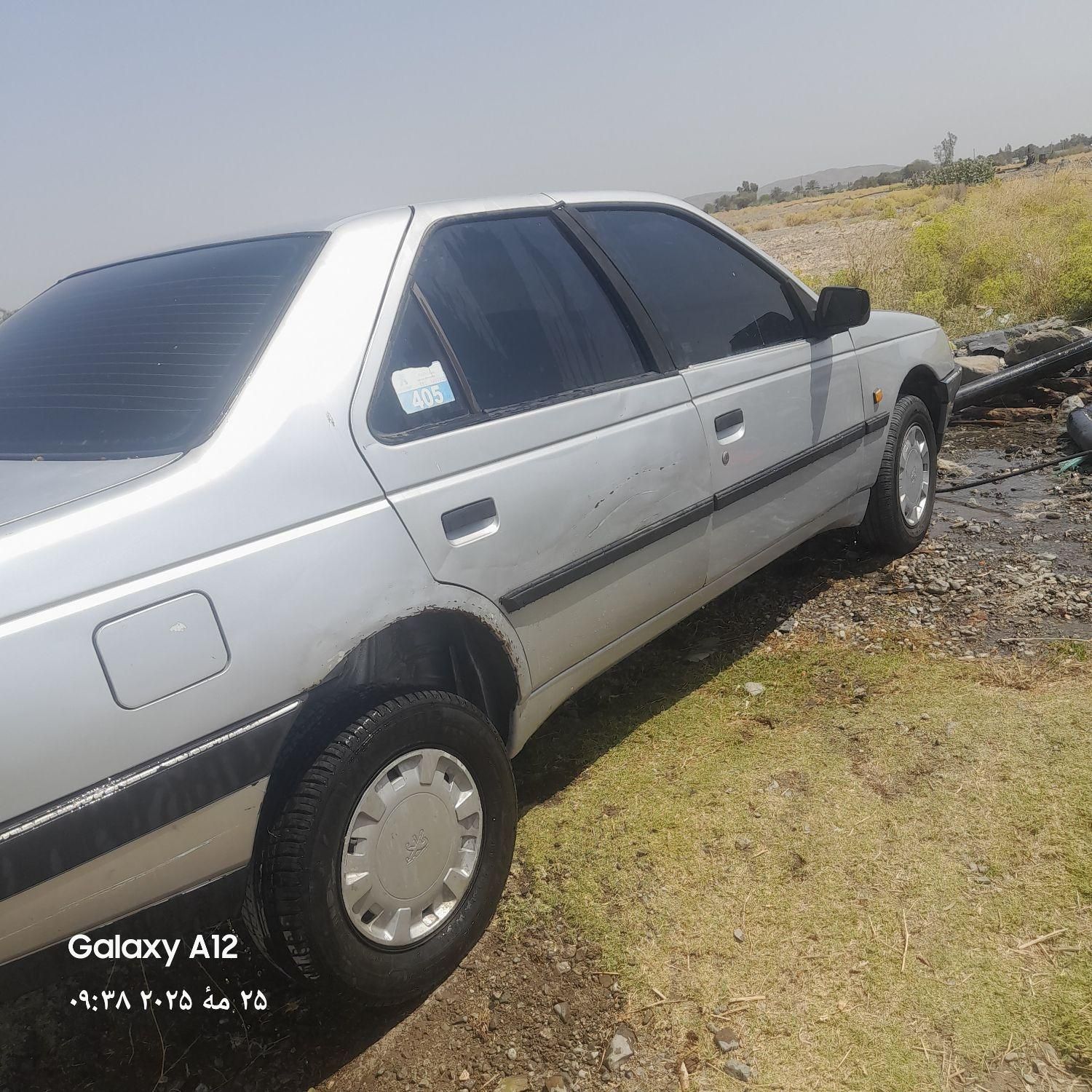 پژو 405 GLX - دوگانه سوز - 1394