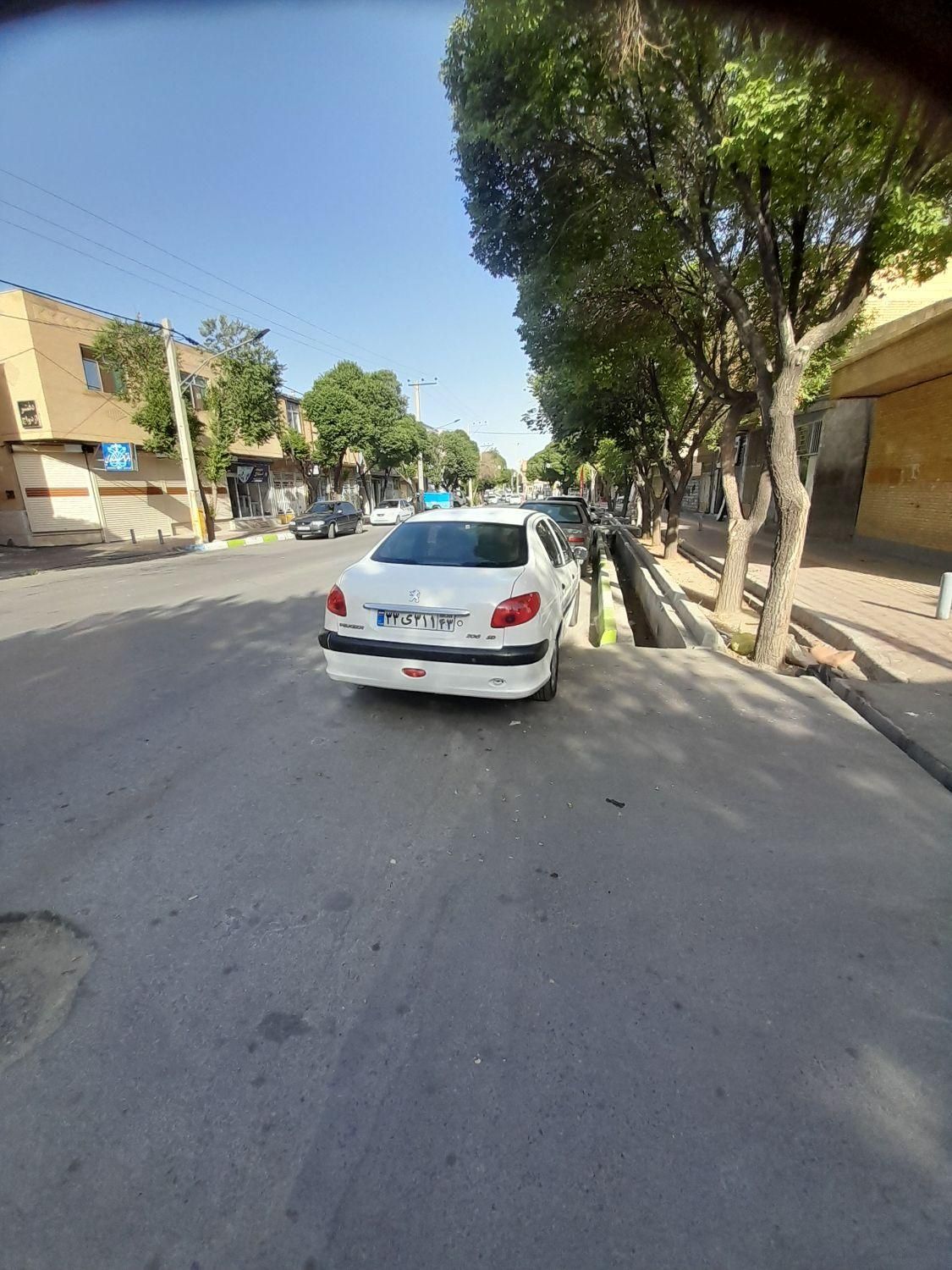 پژو 206 SD v20 - 1389