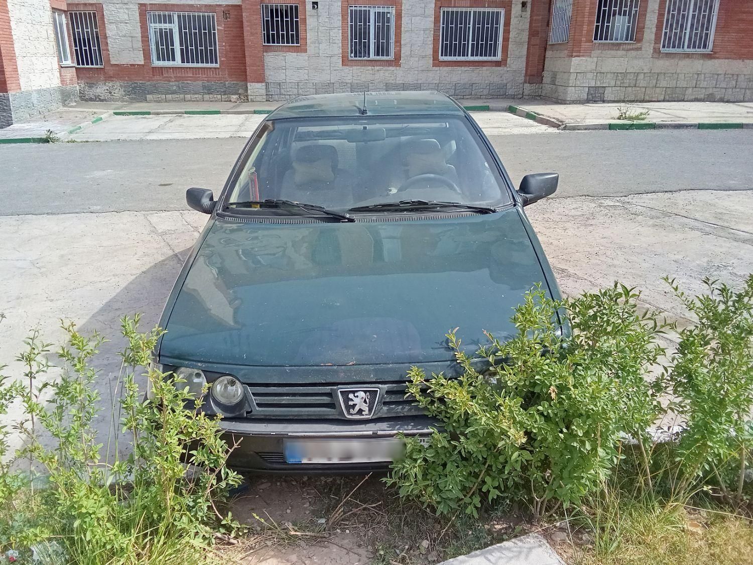 پژو آردی RDI - 1384
