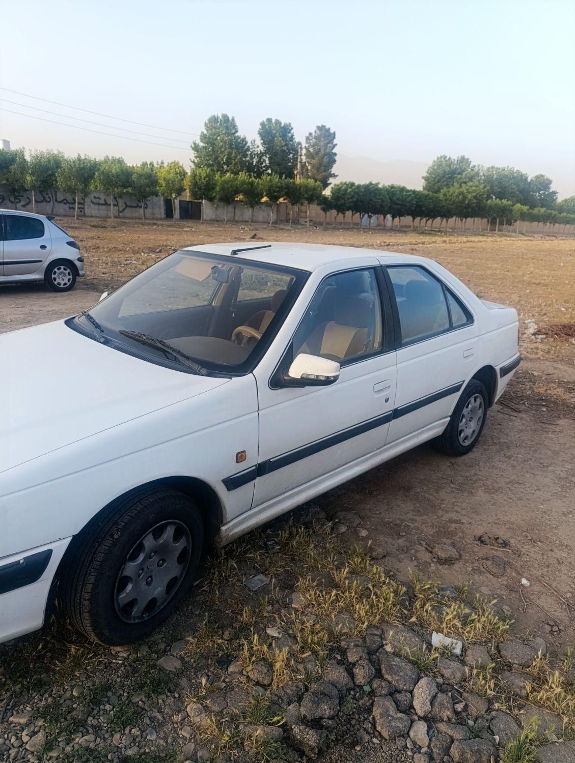 پژو پارس ELX-XU7P سفارشی - 1393