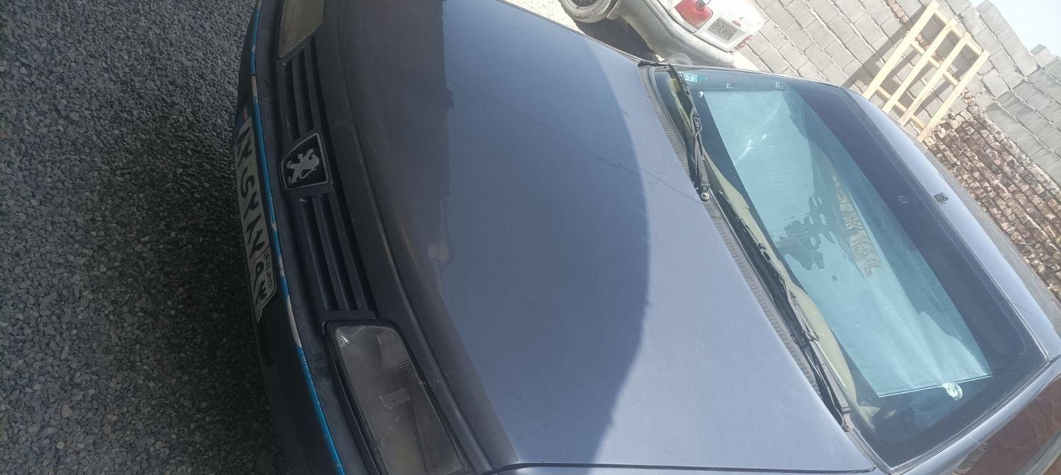 پژو 405 دوگانه سوز GLX - TU5 - 1390