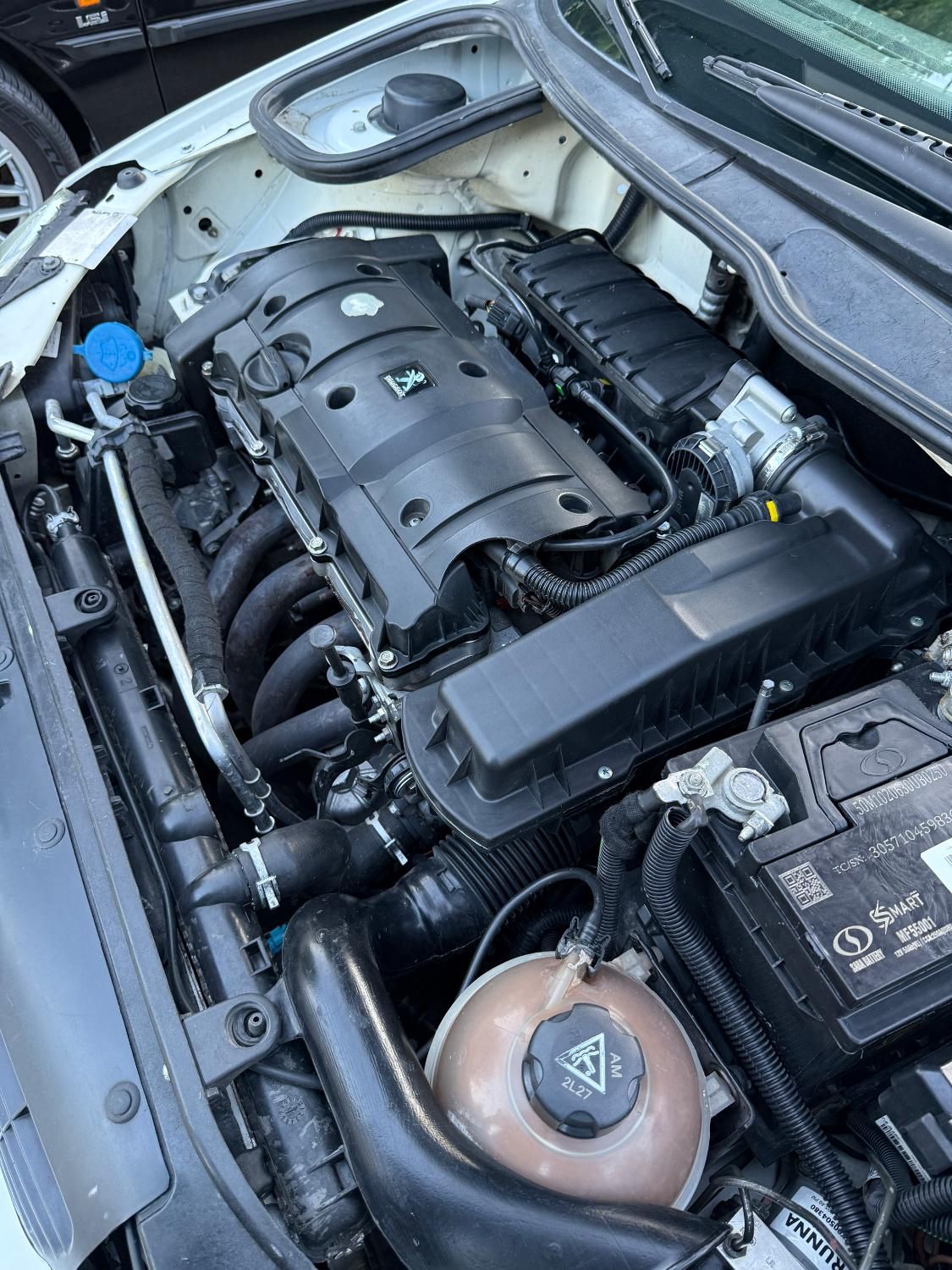 پژو 206 SD v8 - 1395