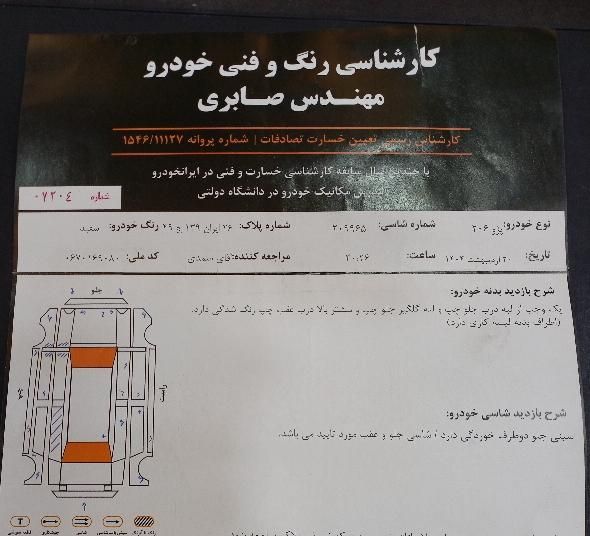 پژو 206 تیپ 2 - 1394