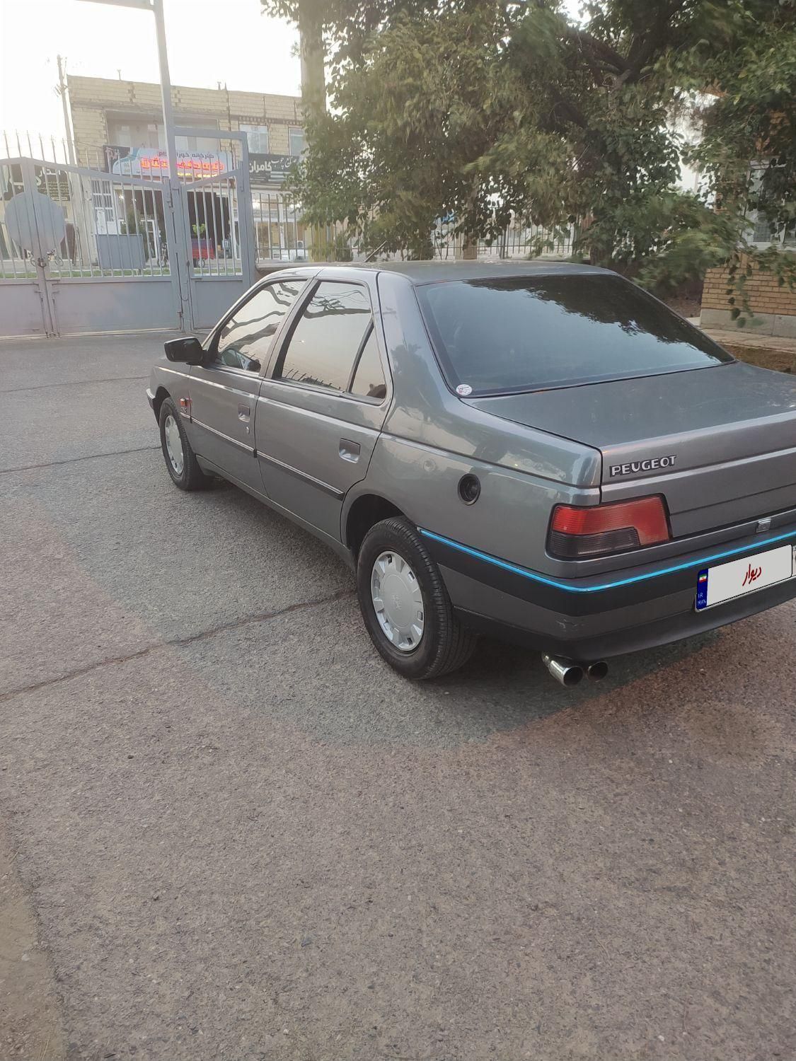 پژو 405 GLX - دوگانه سوز - 1391