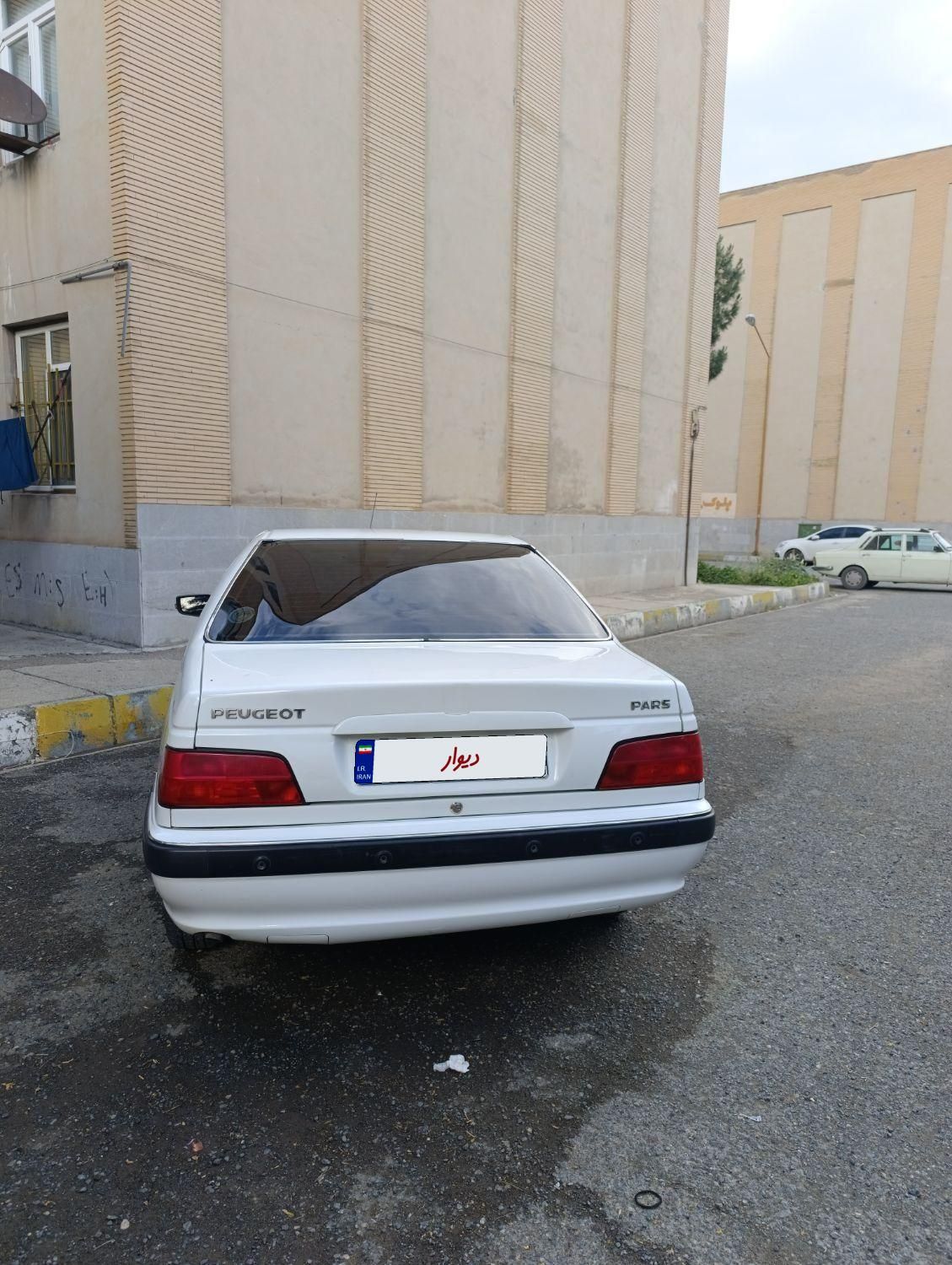 پژو پارس ELX-XU7P سفارشی - 1393