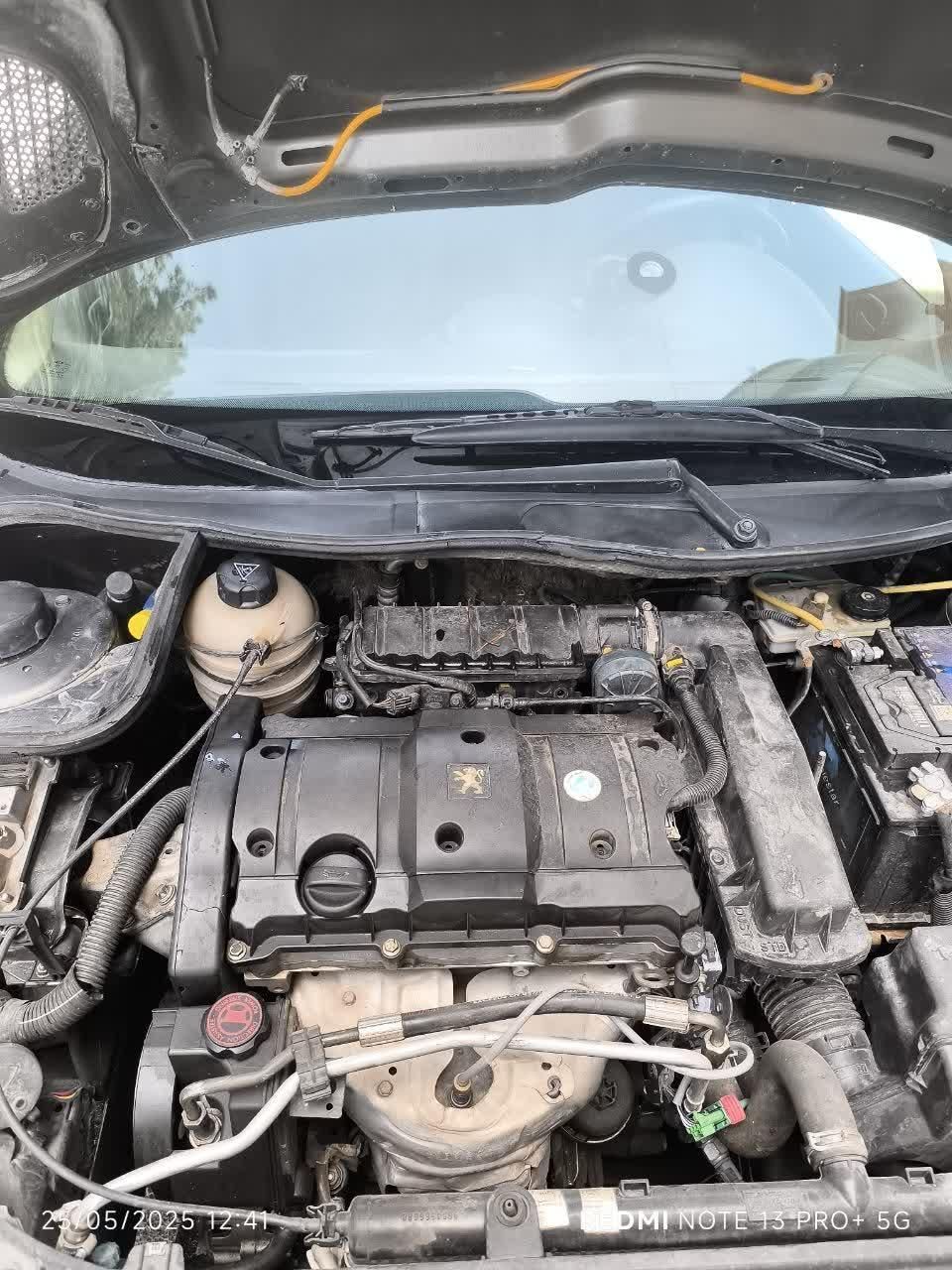 پژو 206 SD v8 - 1386