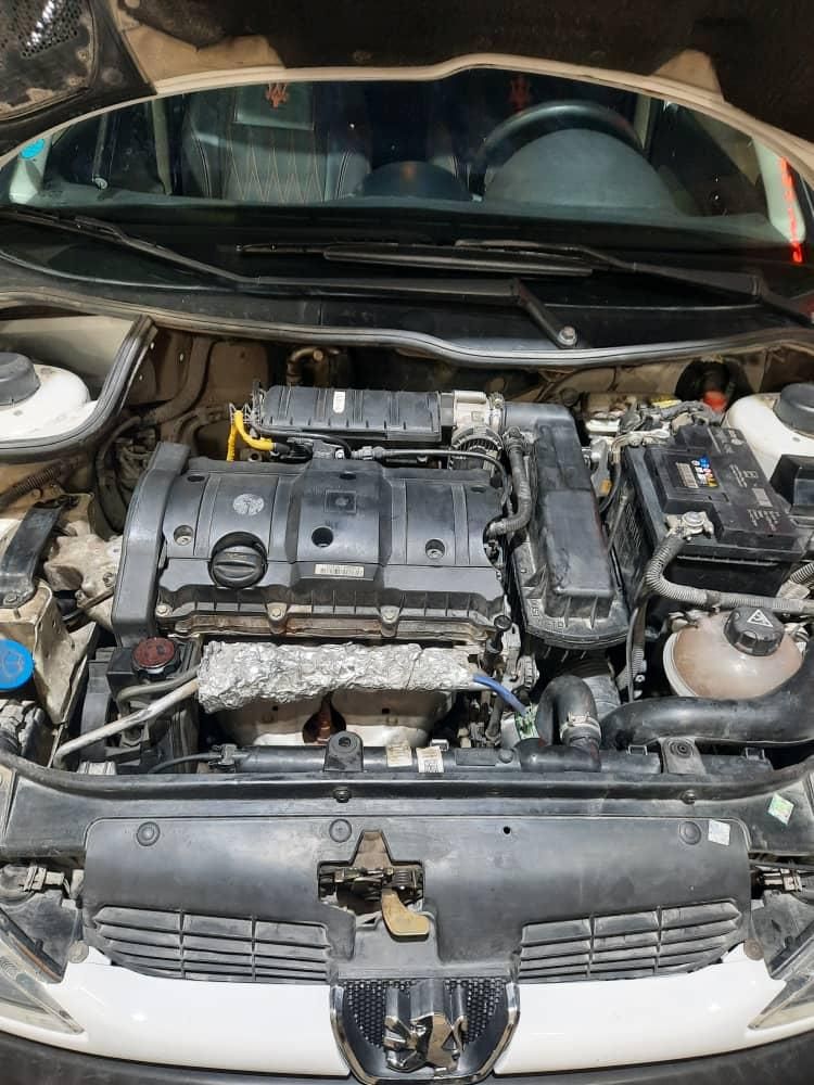 پژو 206 SD v8 - 1395