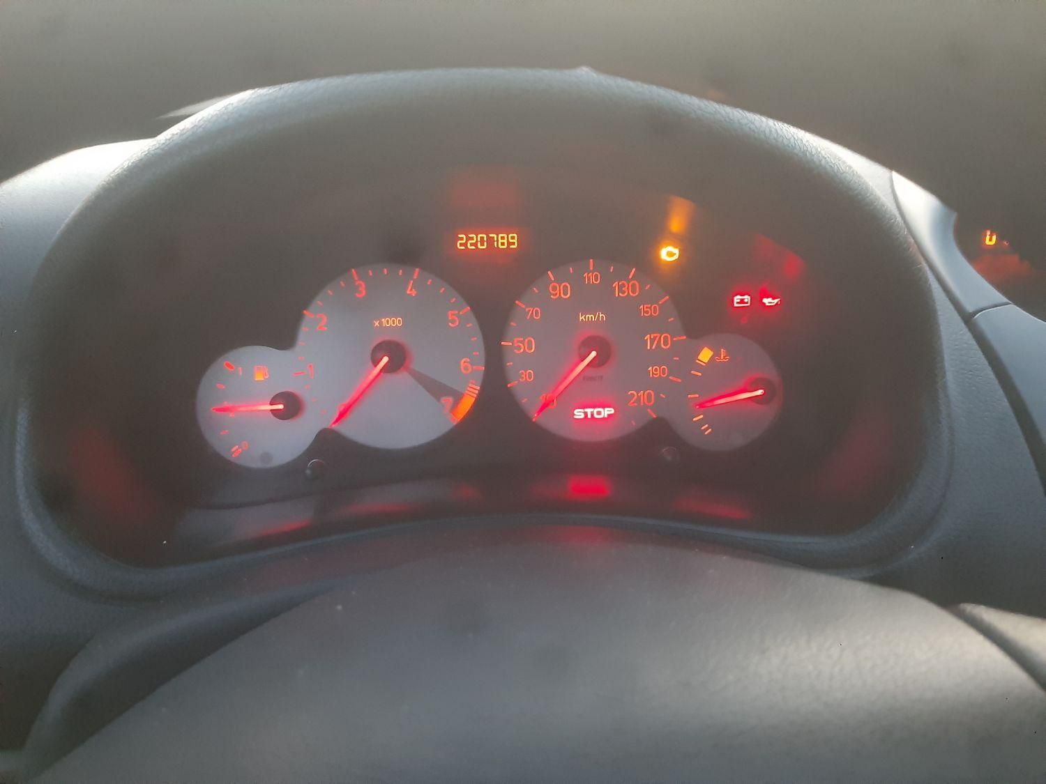 پژو 206 SD v8 - 1393