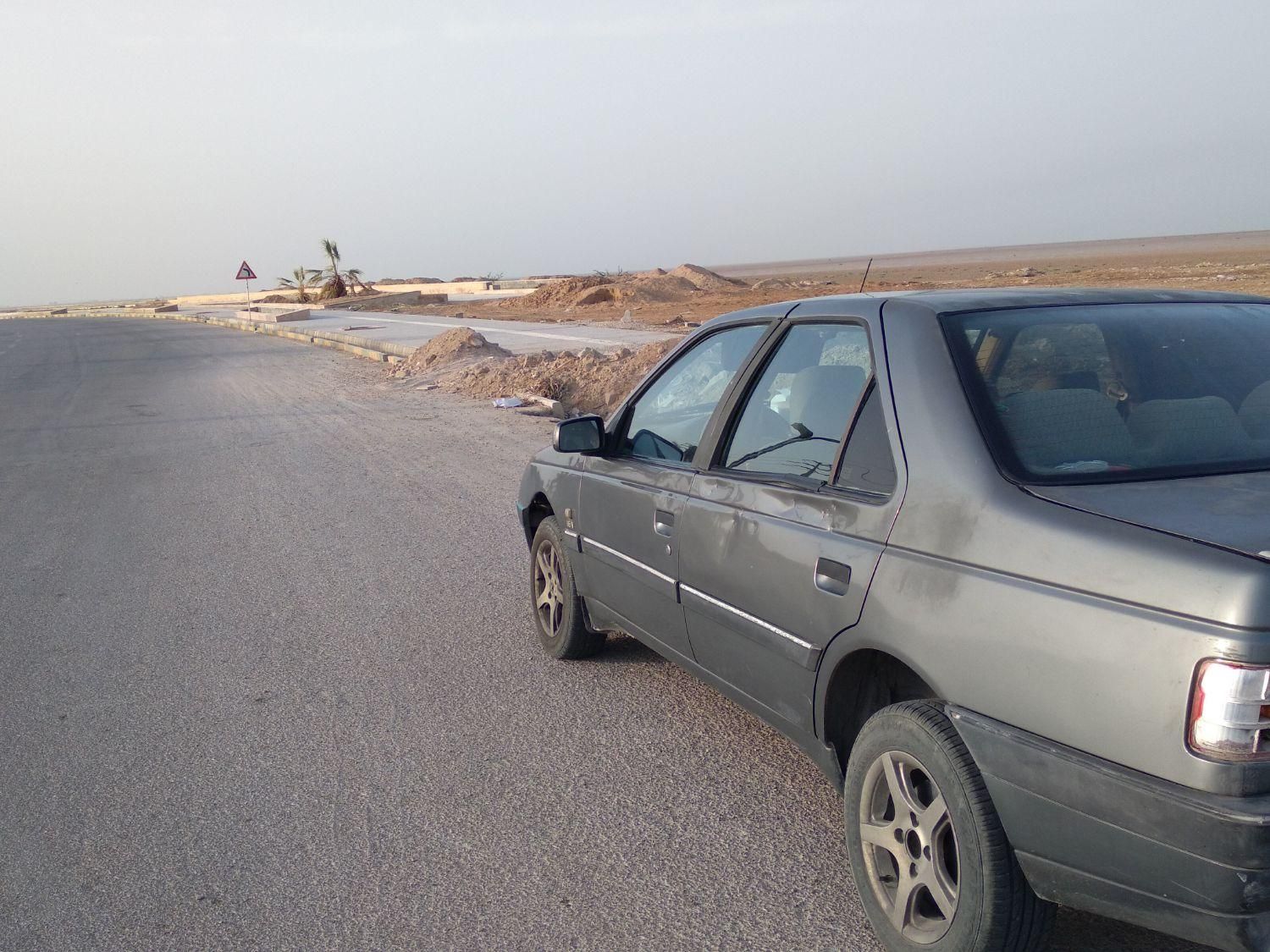 پژو 405 بنزینی GLX - TU5 - 1391
