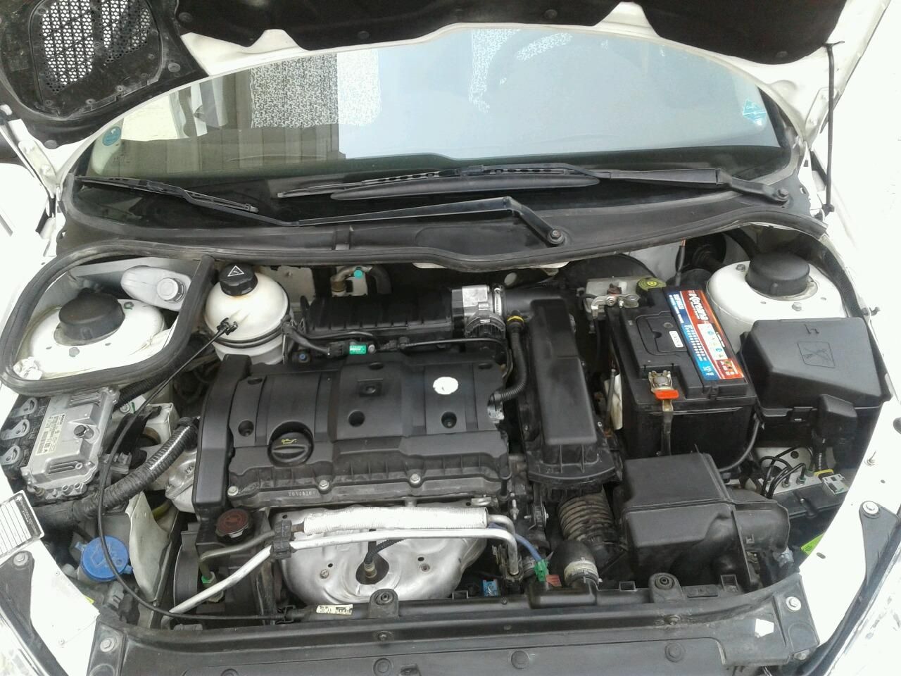 پژو 206 SD v8 - 1391