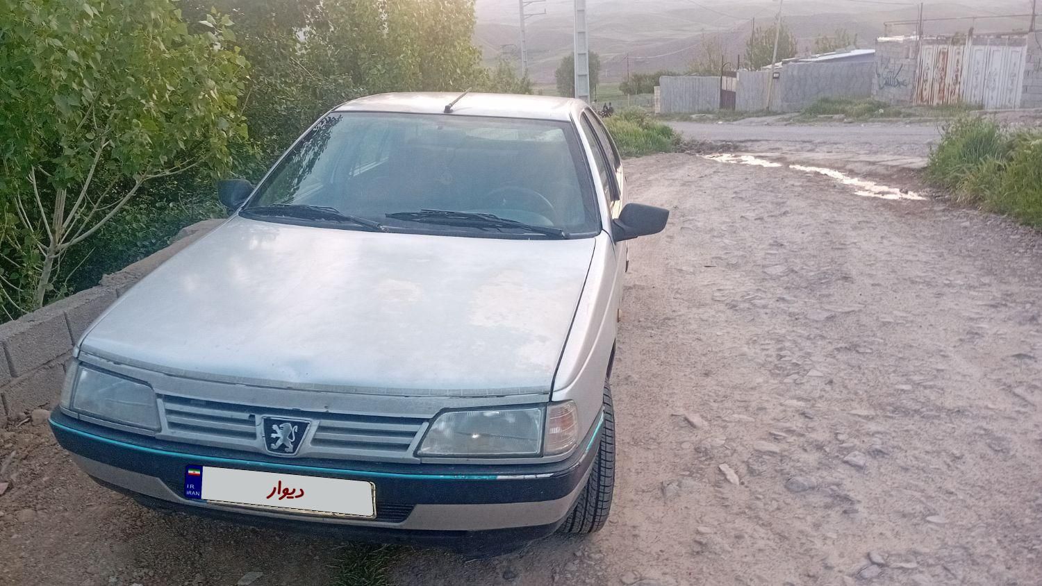 پژو 405 GLX - دوگانه سوز - 1387