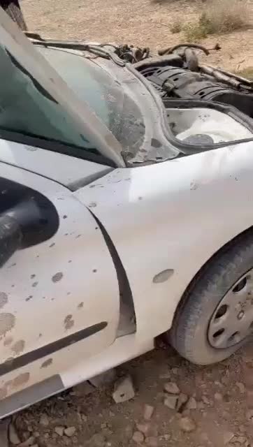 پژو 206 SD v8 - 1395