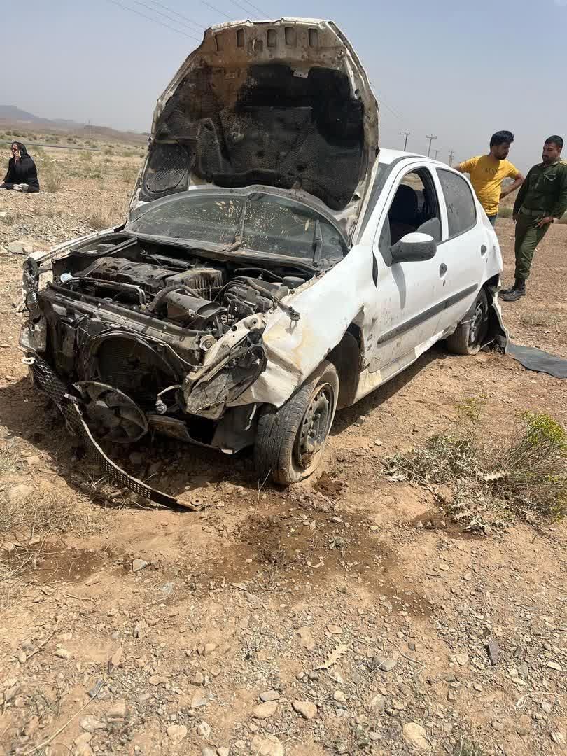 پژو 206 SD v8 - 1395