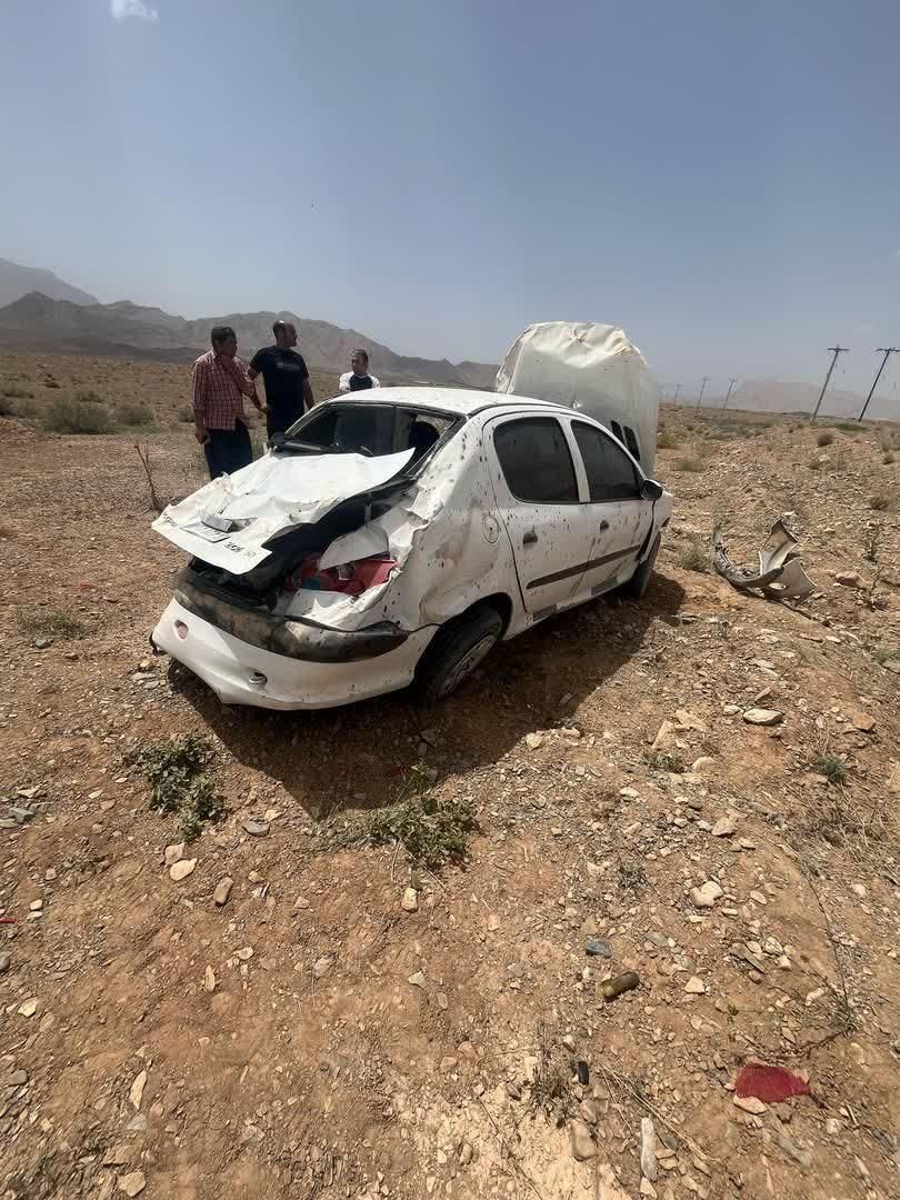 پژو 206 SD v8 - 1395