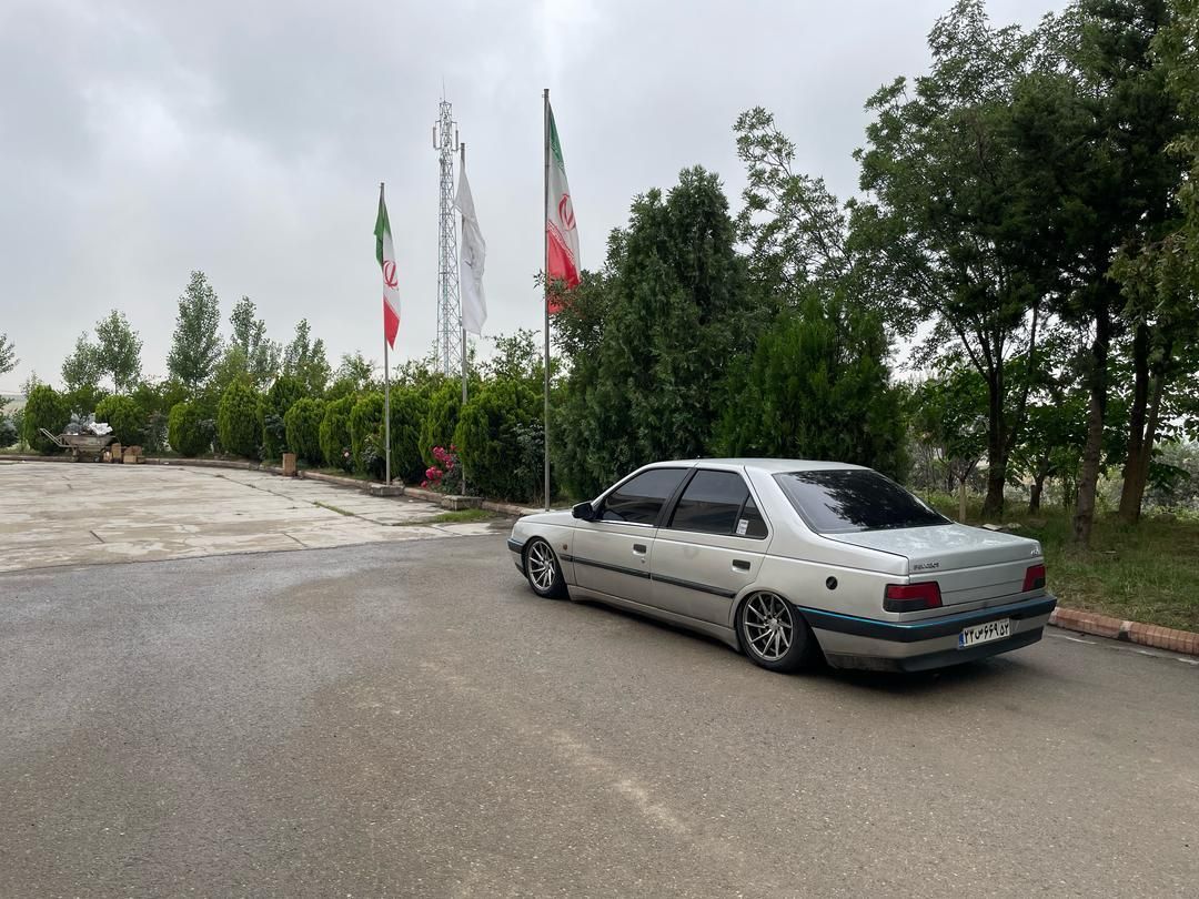 پژو 405 GLX - دوگانه سوز - 1386