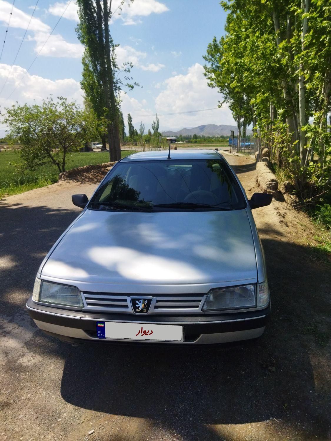 پژو 405 GLI - دوگانه سوز CNG - 1384