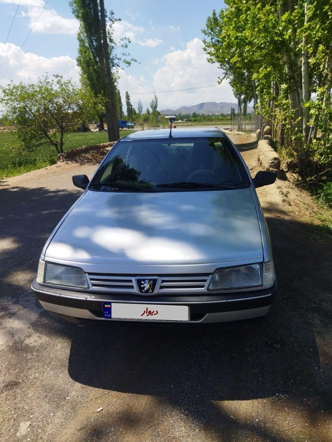 پژو 405 GLI - دوگانه سوز CNG - 1384