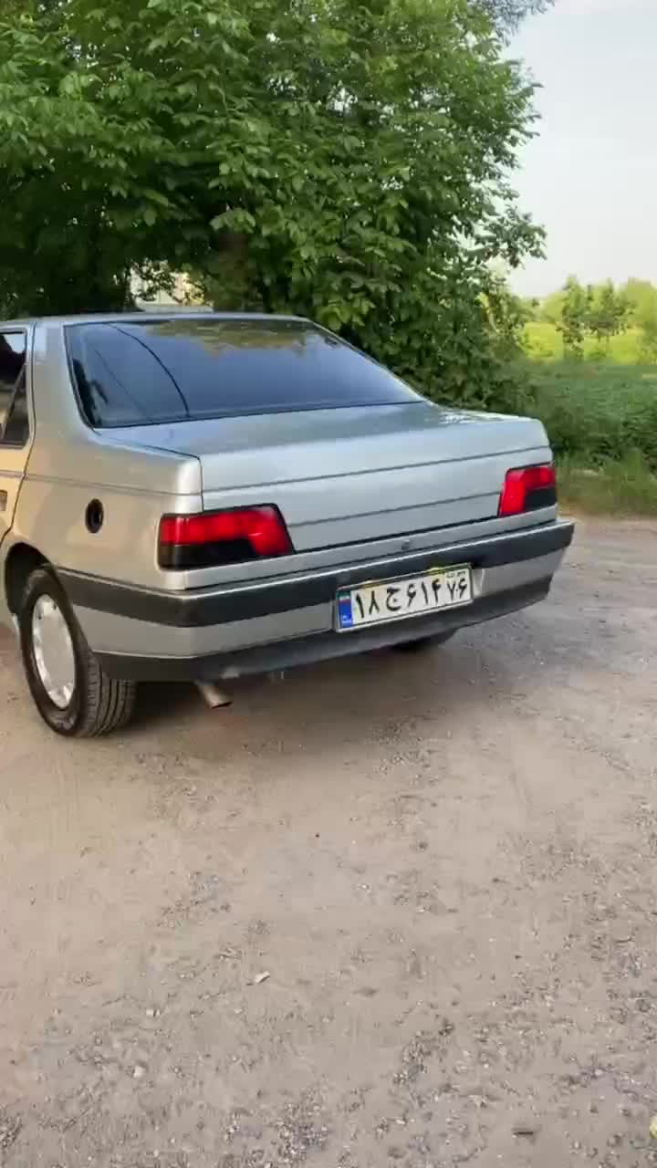 پژو 405 GLX - دوگانه سوز - 1394