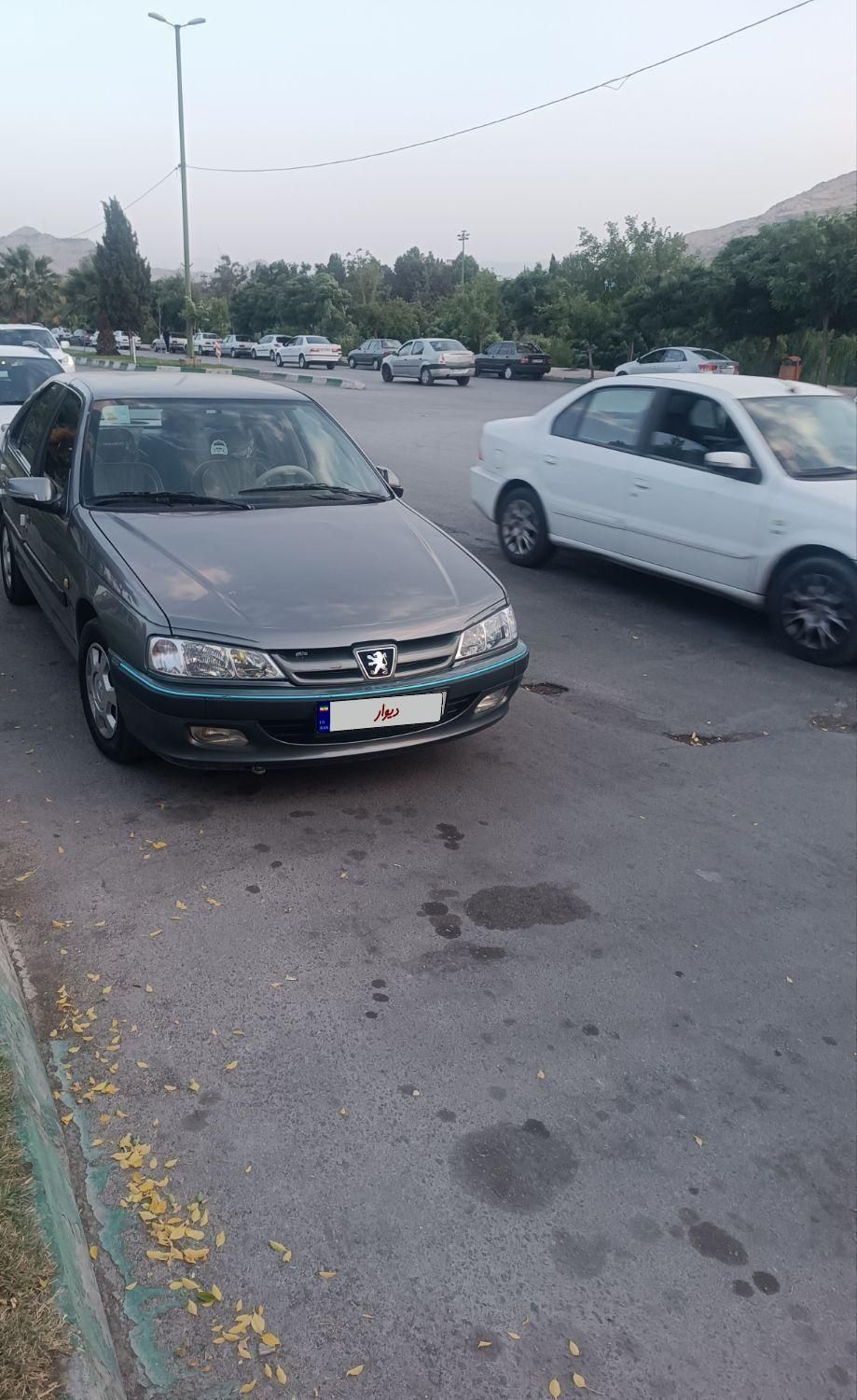 پژو پارس ELX-XU7P سفارشی - 1391