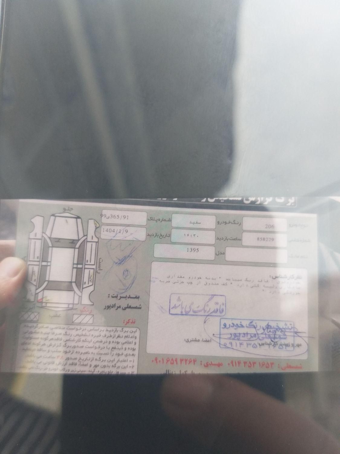 پژو 206 تیپ 5 - 1395