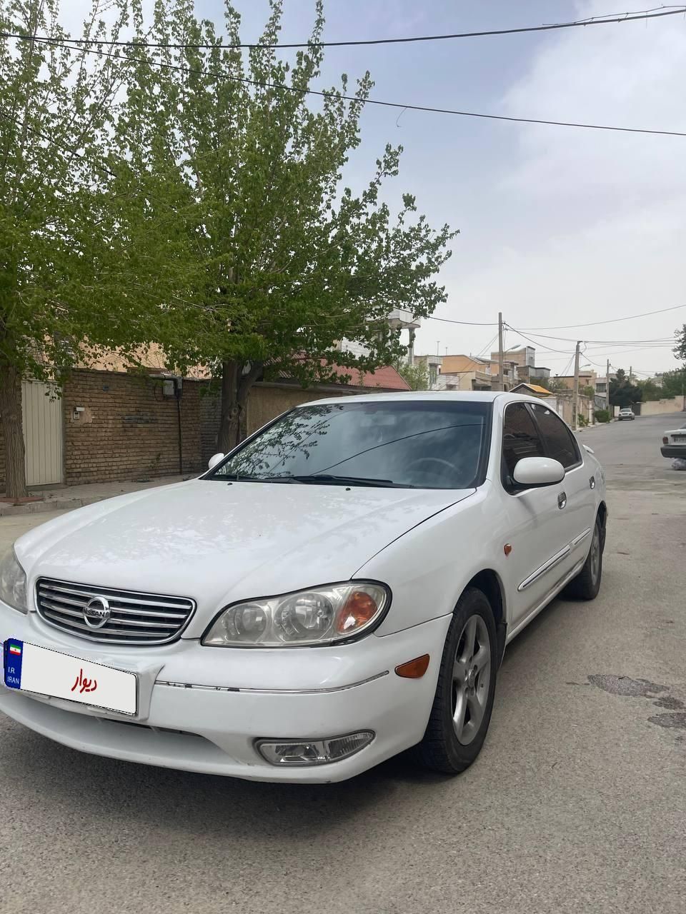 خودرو نیسان، ماکسیما آگهی ann_18353435
