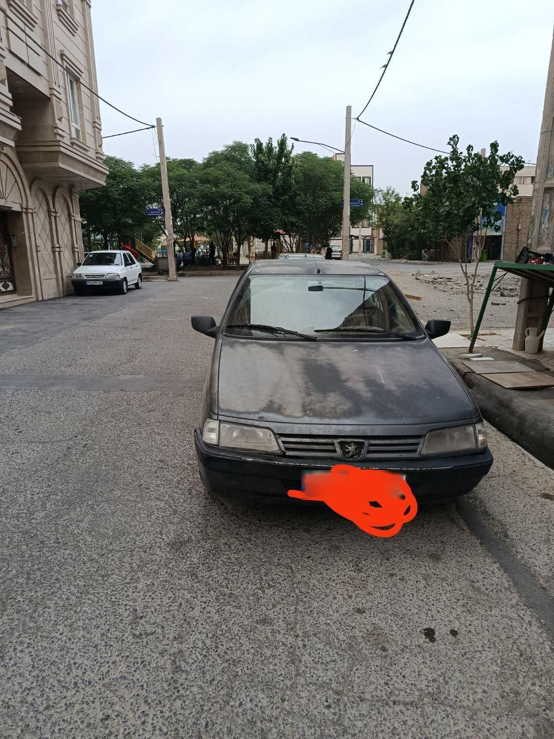 پژو 405 GL - دوگانه سوز CNG - 1370