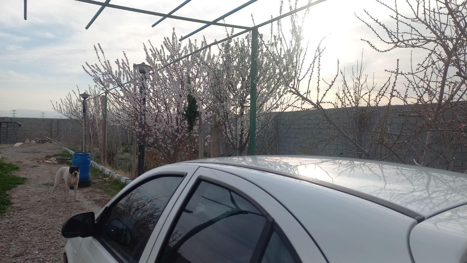 تیبا 2 SX - 1393