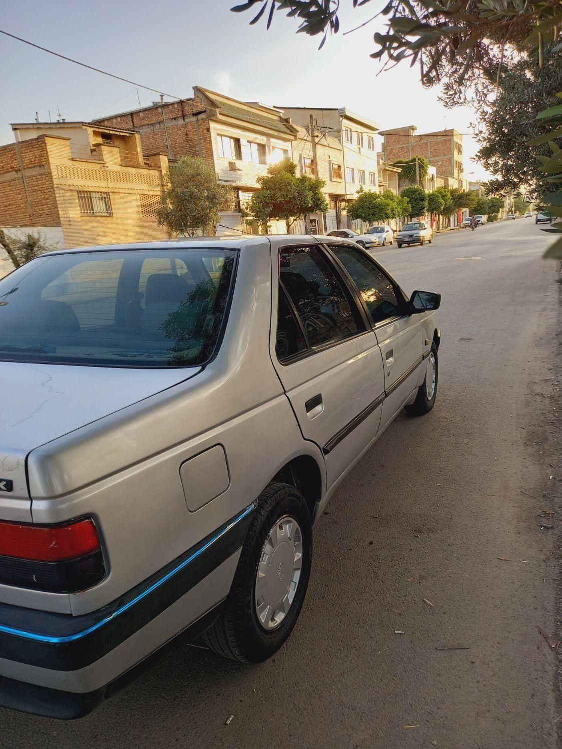 پژو 405 GL - دوگانه سوز CNG - 1369