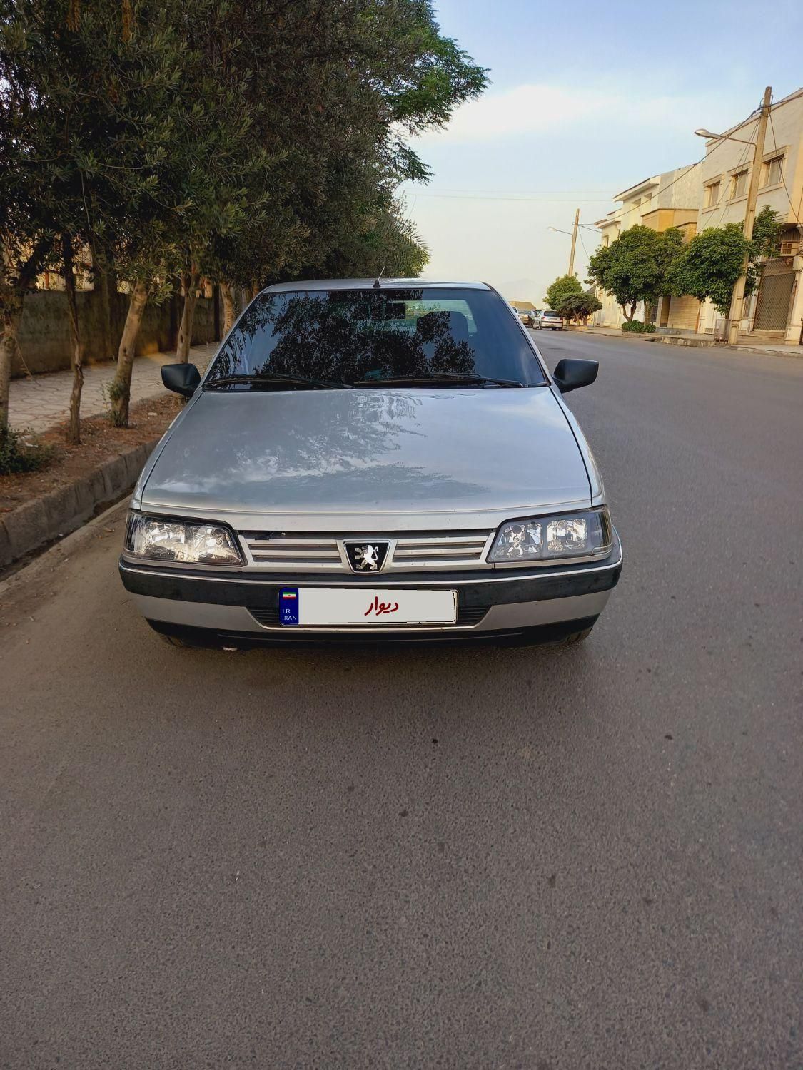 پژو 405 GL - دوگانه سوز CNG - 1369