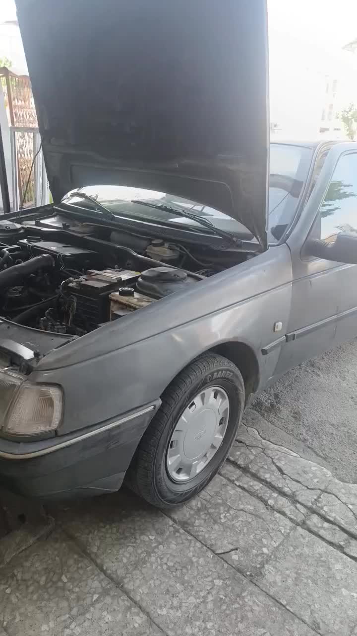 پژو 405 GLX - 1391