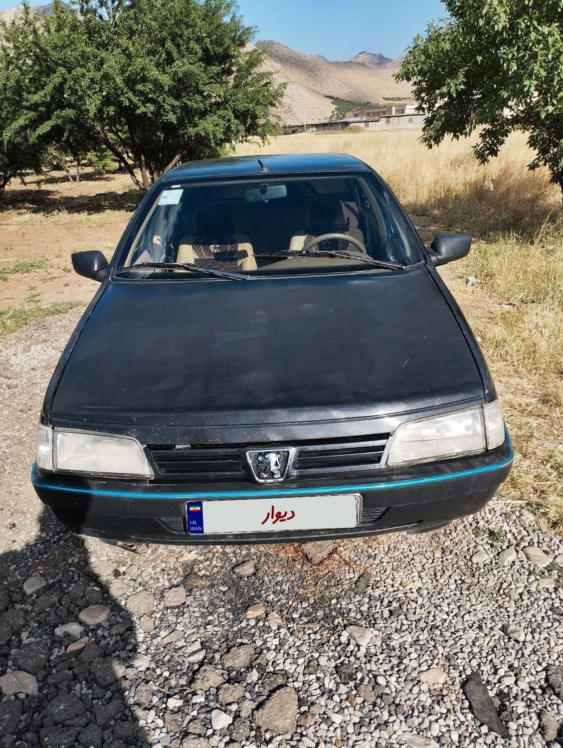 پژو 405 GLI - دوگانه سوز CNG - 1390