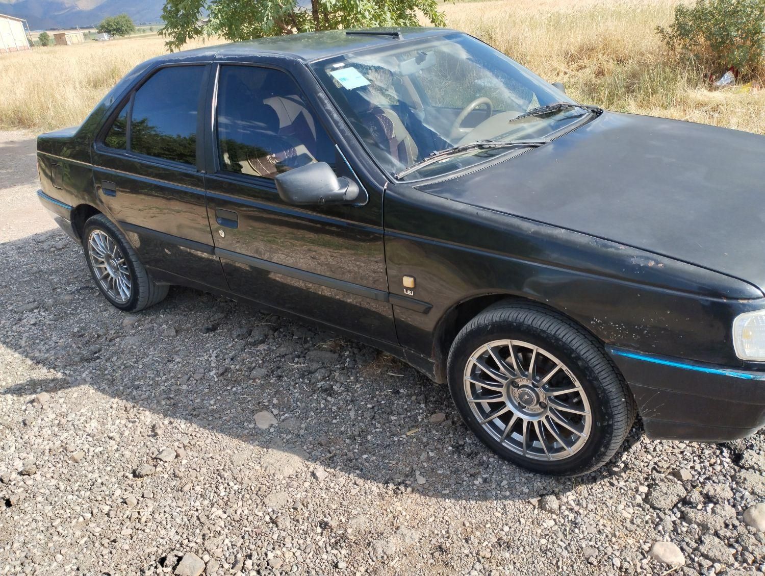 پژو 405 GLI - دوگانه سوز CNG - 1390