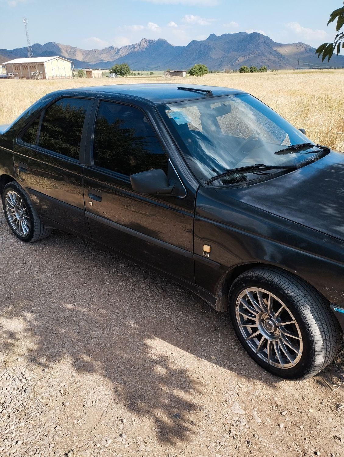 پژو 405 GLI - دوگانه سوز CNG - 1390