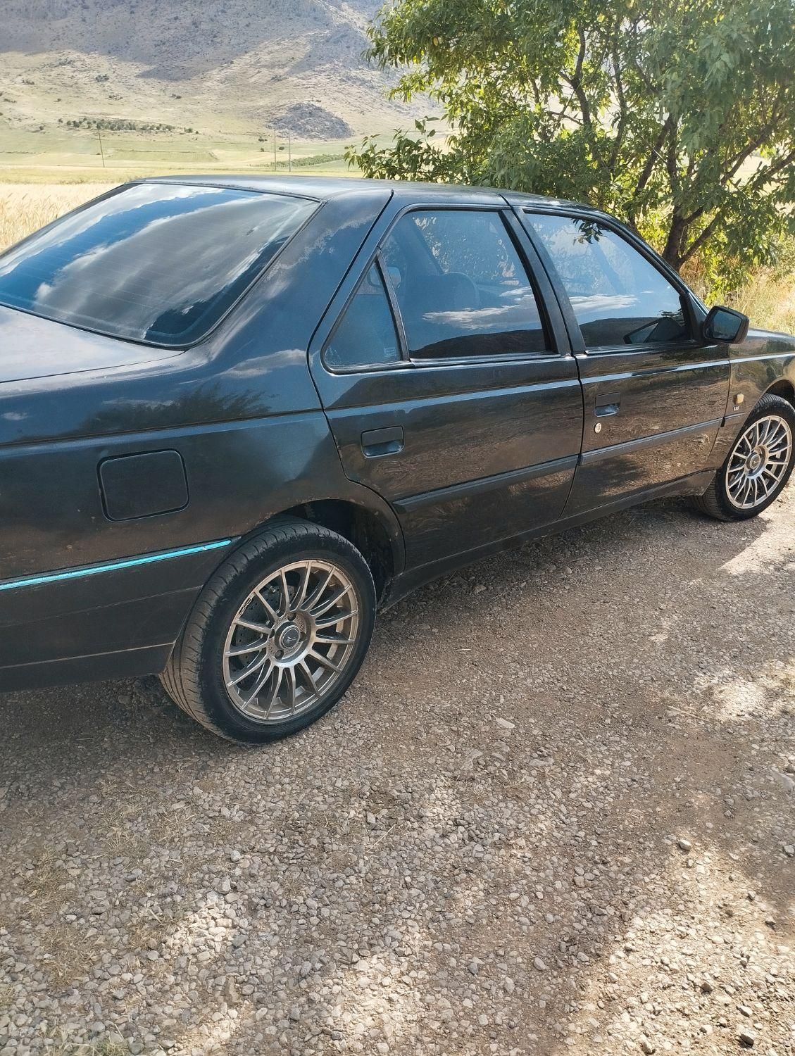 پژو 405 GLI - دوگانه سوز CNG - 1390