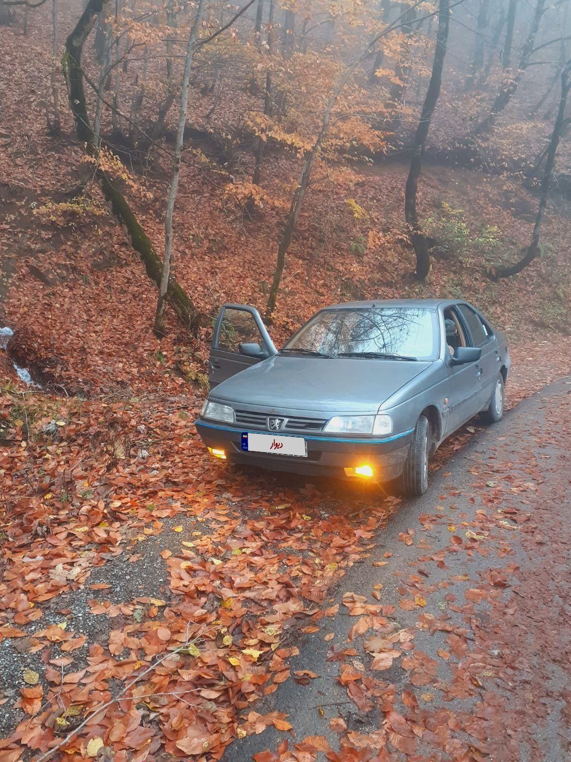 پژو 405 GLX - 1391