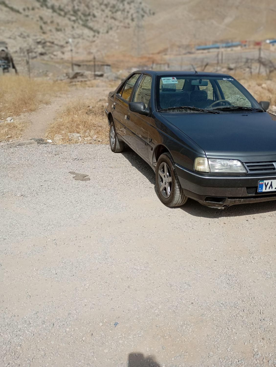 پژو 405 GLX - دوگانه سوز - 1390