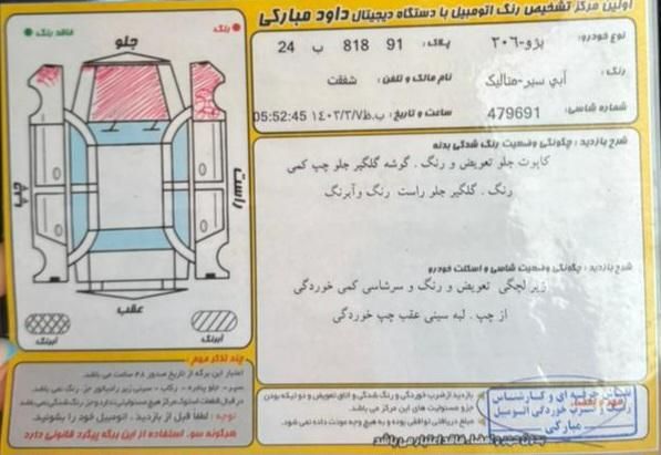 پژو 206 تیپ 5 - 1393