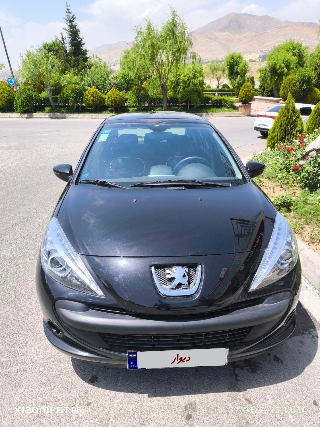 خودرو پژو، 207 آگهی ann_18390341